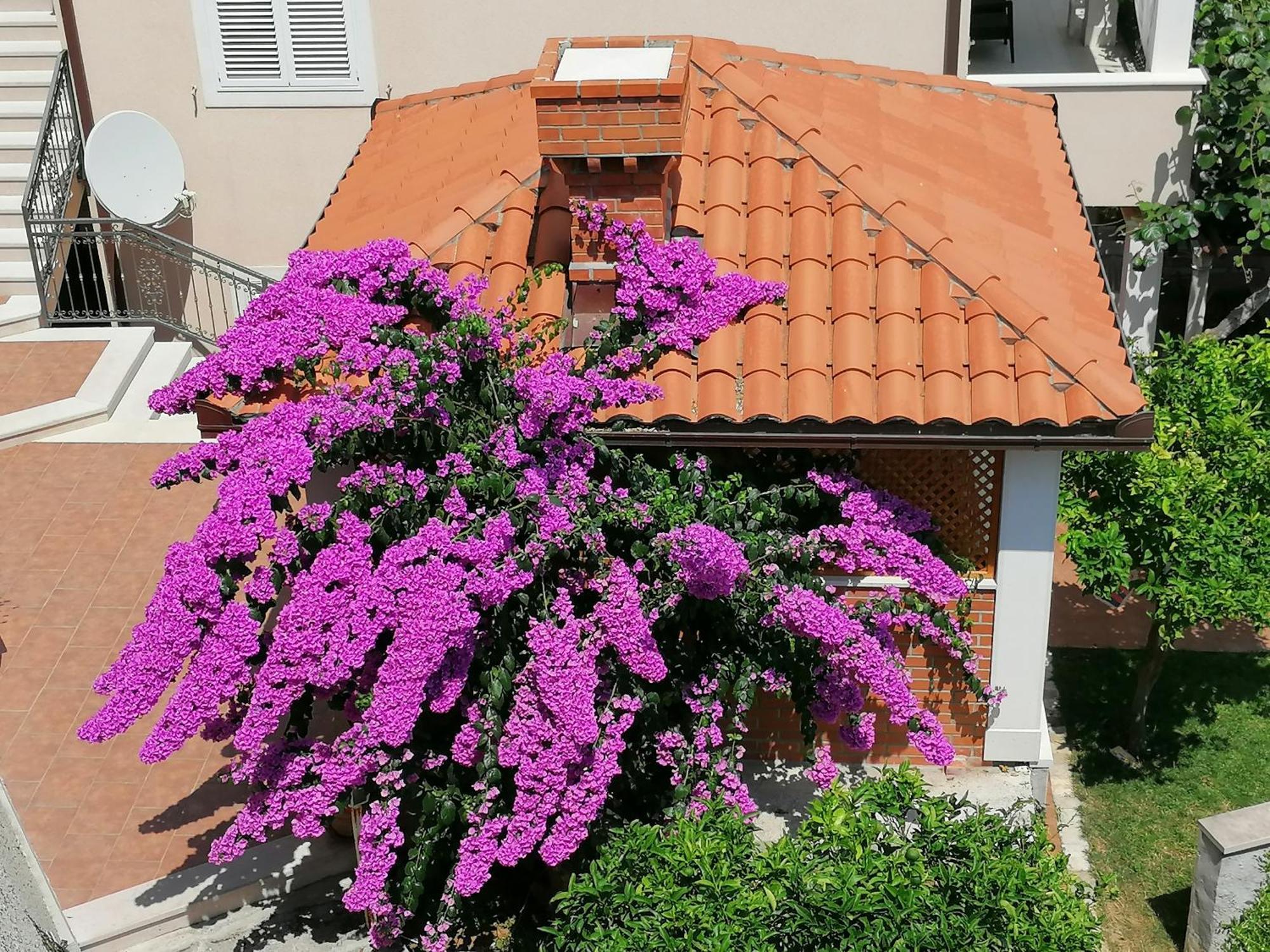 Green Park Apartments 2 Dubrovnik Exterior photo